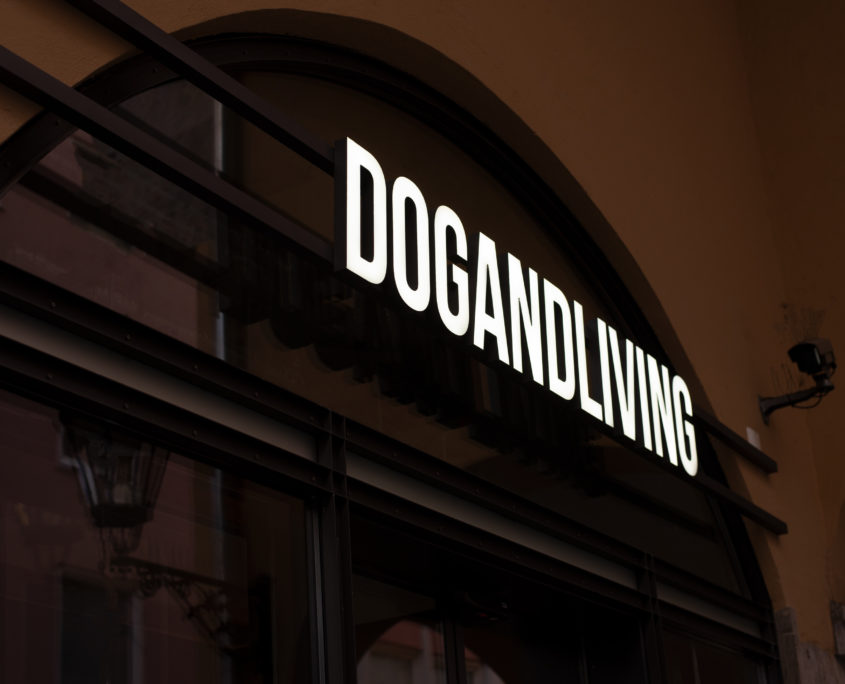 Acryl LED F - LED Leuchtschrift in der Altstadt LED-Leuchtschrift